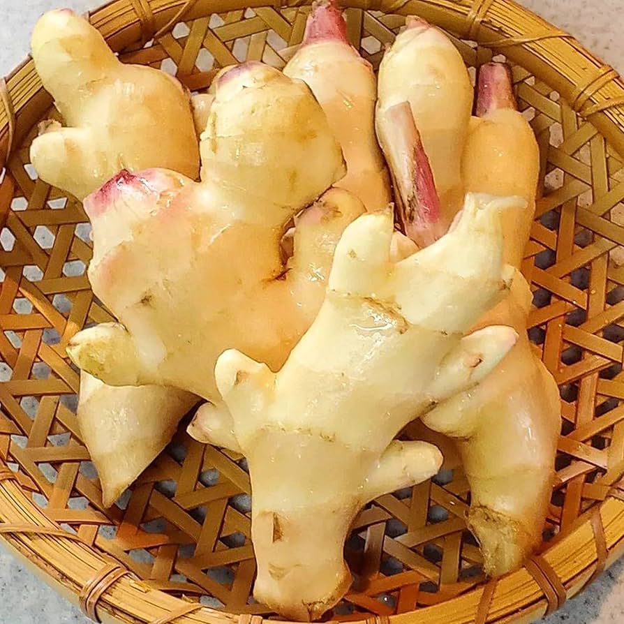 Amazon.co.jp: 和歌山県産 新生姜 約1㎏ 簡単レシピ付/サイズお